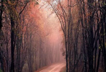 PHP实现增删改查的MySQLi数据库操作类