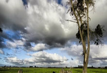 Python调用百度OCR接口图片识别转文字